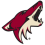 Arizona Coyotes